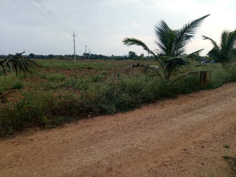 3 Acres Agriculture cultivated red soil land for sale in Hiriyur near sira