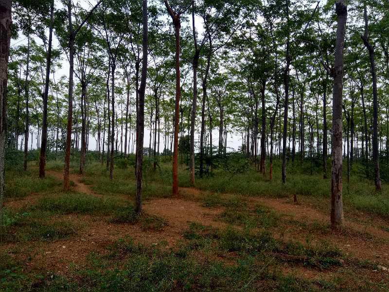 3 Acres Agriculture cultivated red soil land for sale in Hiriyur near sira