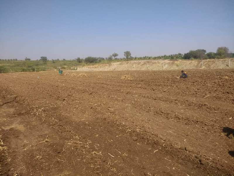 57 Acres red soil agriculture cultivated land for sale in Hiriyur real estate