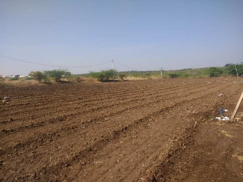 57 Acres red soil agriculture cultivated land for sale in Hiriyur real estate