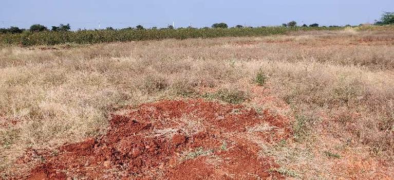 9 Acres agriculture ,cultivated red soil property sale in hiriyur, near Vanivilas dam catchment area.