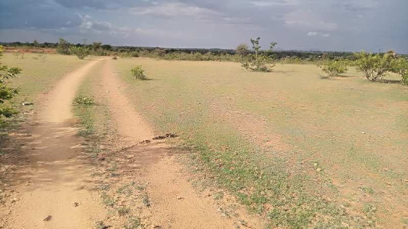 20 Acres Agriculture cultivated farm land sale in sira near Tumkur