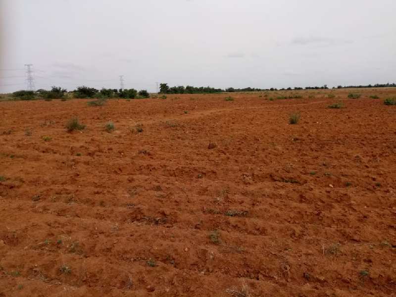 20 Acres red soil cultivated farm land sale in sira near Tumkur