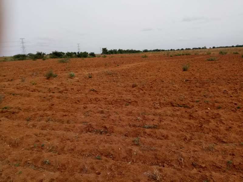20 Acres red soil cultivated farm land sale in sira near Tumkur