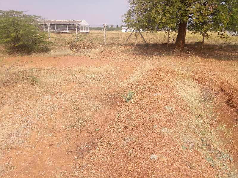 3 Acres Agriculture cultivated red soil land for sale in Hiriyur near Vanivilas dam road