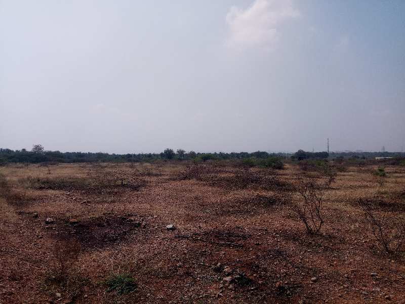3 Acres Agriculture cultivated red soil land for sale in Hiriyur near Vanivilas dam road