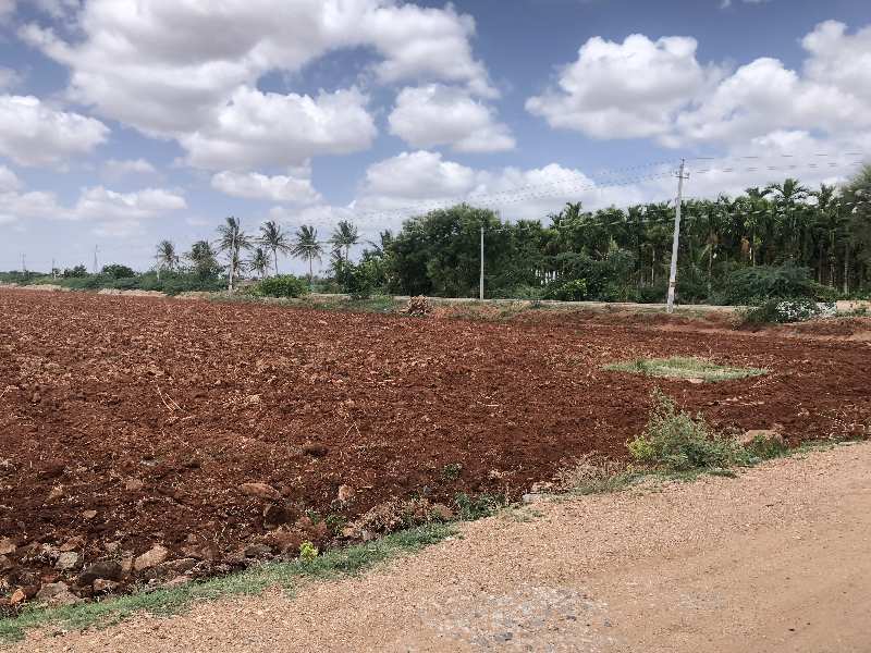 10 Acres red soil cultivated agriculture land for sale in Hiriyur, sira
