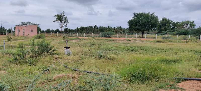 15 Acres cheapest price Agriculture Land( agriculture properties) for sale in karnataka  near hiriyur.