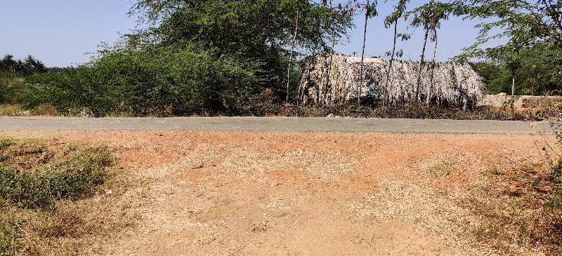 10  Acres cheapest price Agriculture Land( agriculture properties) for sale in karnataka  near hiriyur