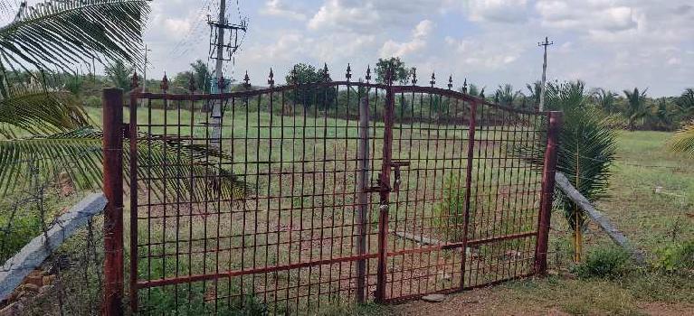 3 Acre agriculture land for sale near hiriyur highway