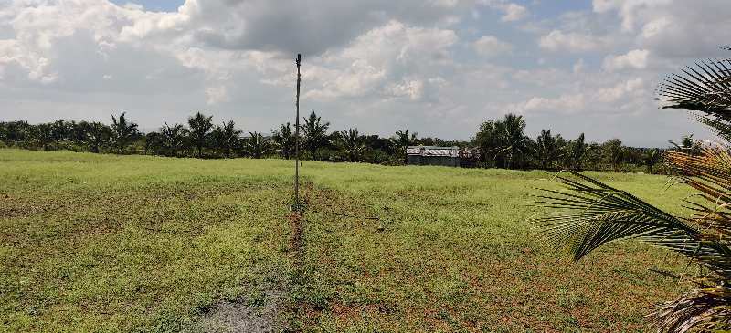 3 Acre agriculture land for sale near hiriyur highway