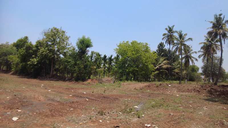 12 acre red soil cultivated land for sale in hiriyur //vanivilasa dam canal water irrigated,village attached land.