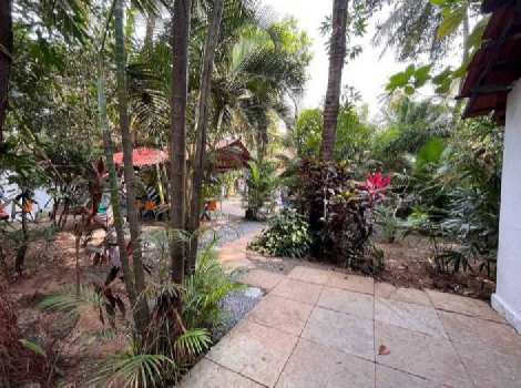 4 BHK Individual Houses / Villas for Sale in Arpora, Goa