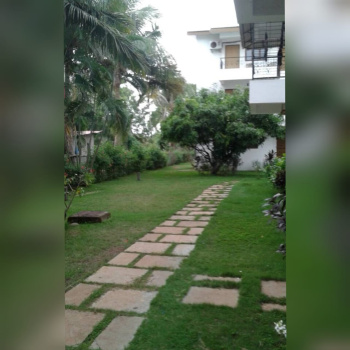 Flats & Apartments for Rent in Arpora, Goa (530 Sq.ft.)