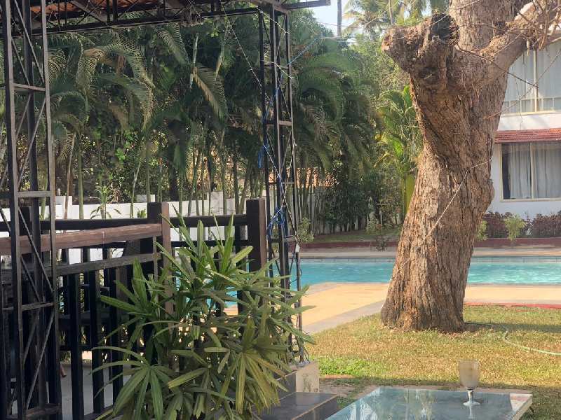 5 BHK Individual Houses / Villas for Sale in Anjuna, Goa (225 Sq. Meter)