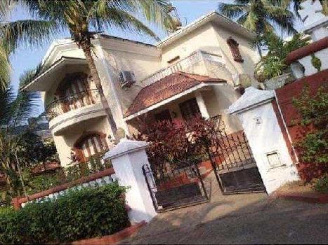 3 BHK Individual Houses / Villas for Rent in Sinquerim, Goa (2500 Sq.ft.)