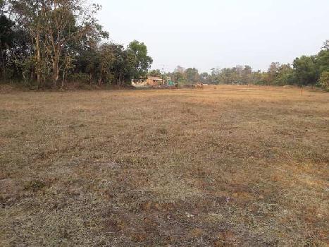 87 Guntha Agricultural/Farm Land for Sale in Kudal, Sindhudurg