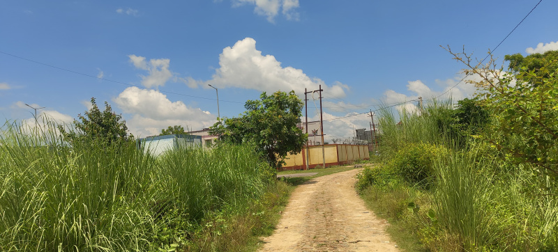 1360 Sq.ft. Residential Plot For Sale In Gora Bazar, RaeBareli