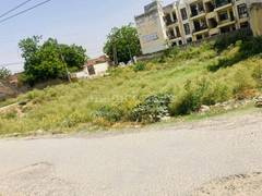 250 Sq.ft. Residential Plot for Sale in Sector 2, Bahadurgarh