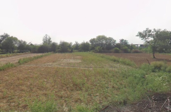 Industrial Land / Plot for Sale in Bahadurgarh, Jhajjar (9000 Sq. Yards)