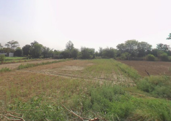 Property for sale in Bahadurgarh, Jhajjar