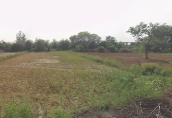 Property for sale in Bahadurgarh, Jhajjar