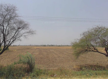Commercial Lands /Inst. Land for Sale in Bahadurgarh Bypass, Bahadurgarh (6 Acre)