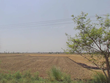 Property for sale in Surya Nagar, Bahadurgarh