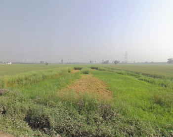 Property for sale in Bahadurgarh Bypass