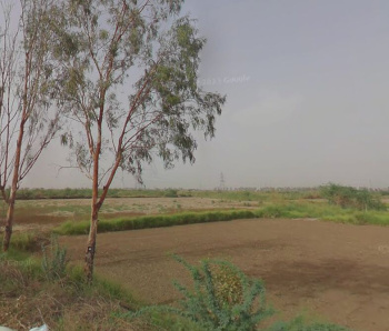 Industrial Land / Plot for Sale in Bahadurgarh Bypass, Bahadurgarh (3 Acre)