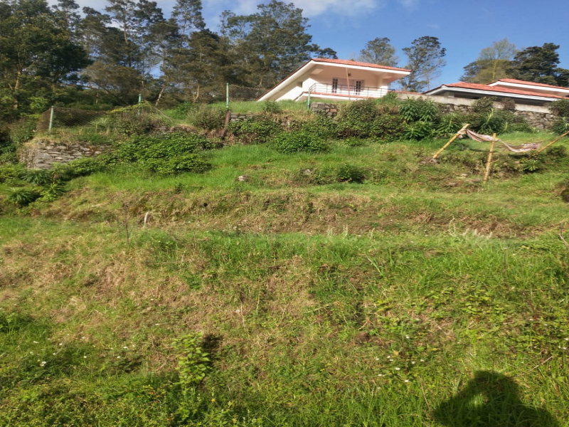 Residential Plot For Sale In Vilpatti, Kodaikanal (15967 Sq.ft.)