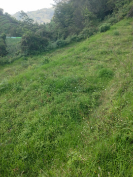 Property for sale in Vilpatti, Kodaikanal