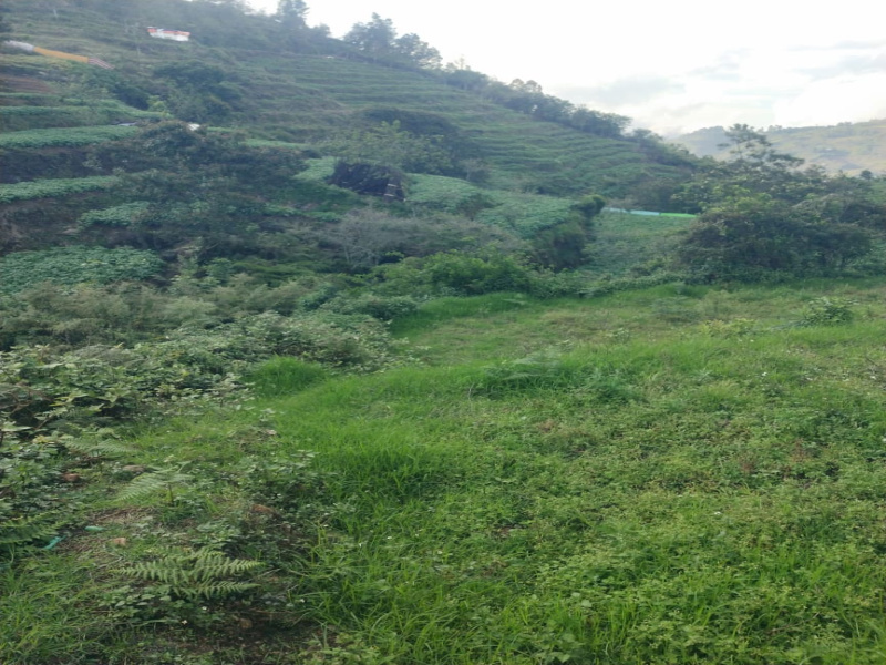 65 ACRE PATTA LAND FOR SALE SUITABLE FOR INSTITUTION , RETIRDMENT HOMES CONSTRUCTION ,INDUSTRIAL ......