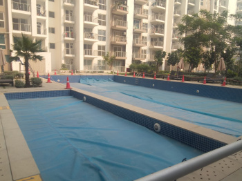 2 BHK Flats & Apartments for Sale in Dwarka Expressway Dwarka Expressway, Gurgaon (1330 Sq.ft.)
