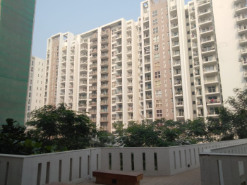 3 BHK Flats & Apartments for Sale in Dwarka Expressway Dwarka Expressway, Gurgaon (1573 Sq.ft.)