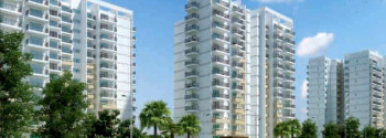 2 BHK Flats & Apartments for Sale in Sector 107, Gurgaon (1366 Sq.ft.)