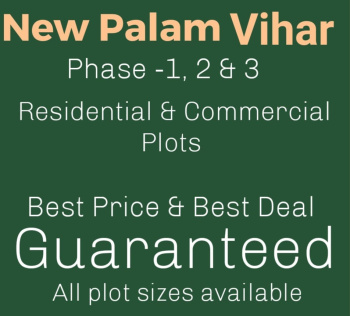 PLOT FOR SALE IN NEW PALAM VIHAR