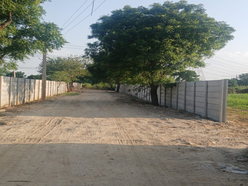 FARM HOUSE ON DWARKA EXPRESSWAY