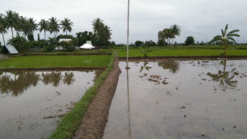 2.50 Acre Agricultural/Farm Land for Sale in Chinnasalem, Villupuram