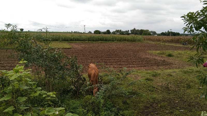 3 Acre Agricultural/Farm Land for Sale in Chinnasalem, Villupuram