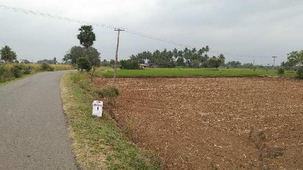 5 Acre Agricultural/Farm Land for Sale in Kallakurichi, Villupuram