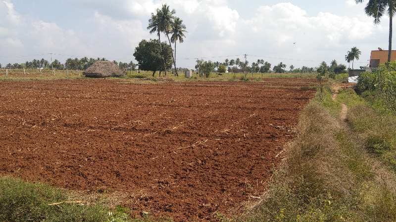 Agriculture farm land