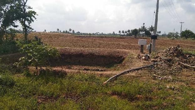 3.5 Acre Agricultural/Farm Land for Sale in Kallakurichi, Villupuram