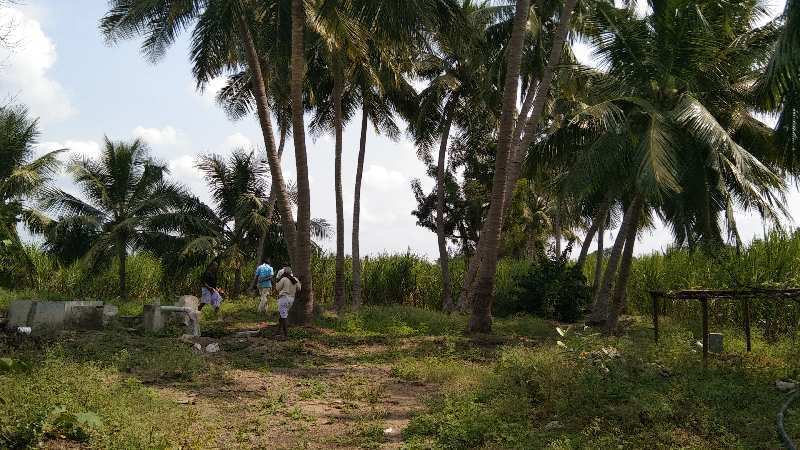 8 Acre Agricultural/Farm Land for Sale in Kallakurichi, Villupuram