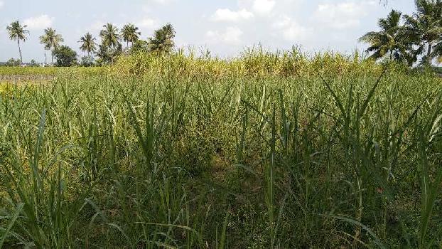 9 Acre Agricultural/Farm Land for Sale in Kallakurichi, Villupuram