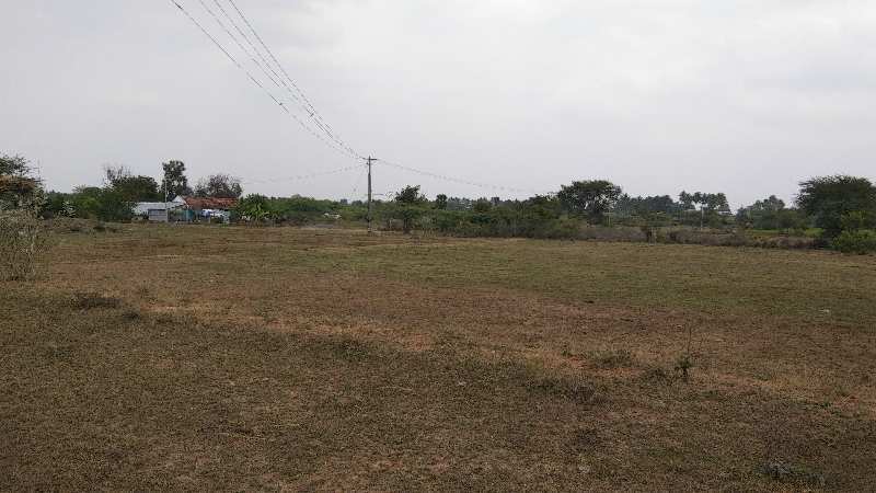 8 Acre Agricultural/Farm Land for Sale in Villupuram