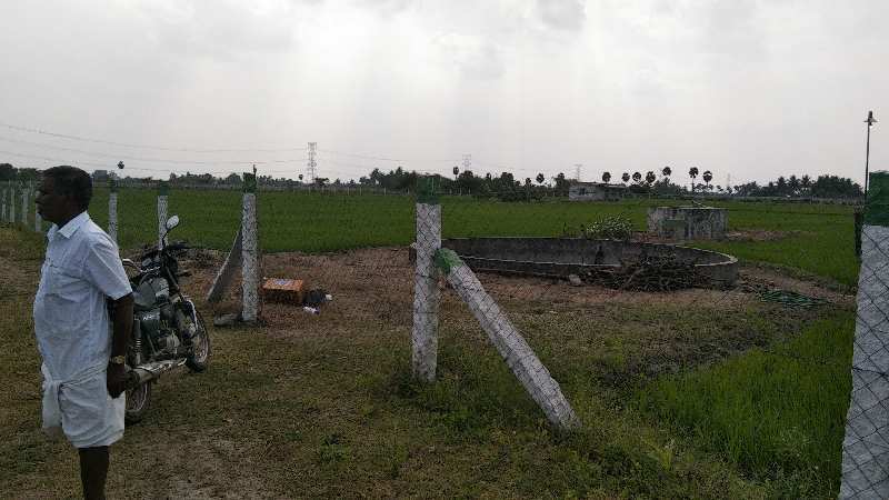6 Acre Agricultural/Farm Land for Sale in Chinnasalem, Villupuram