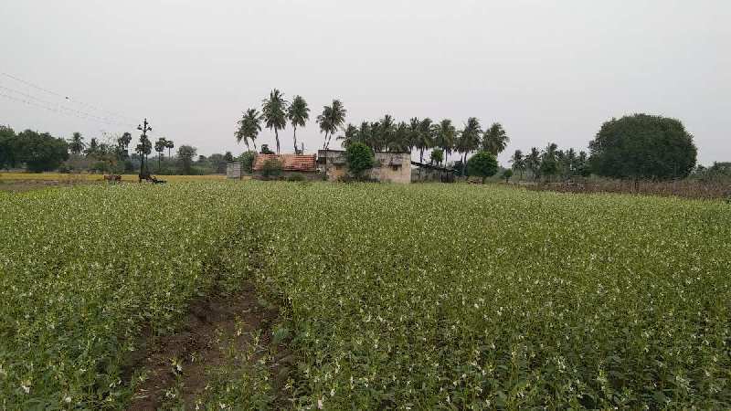 2 Acre Agricultural/Farm Land for Sale in Kallakurichi, Villupuram
