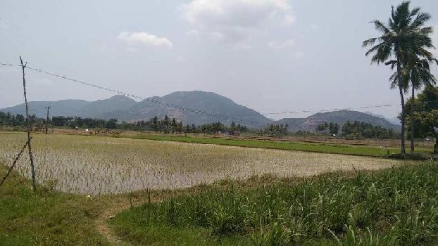 5.5 Acre Agricultural/Farm Land for Sale in Vadakkanandal, Villupuram