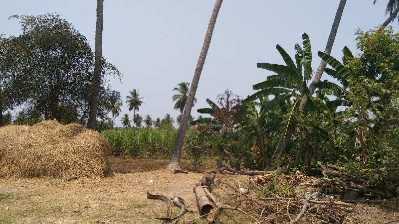 5.5 Acre Agricultural/Farm Land for Sale in Vadakkanandal, Villupuram